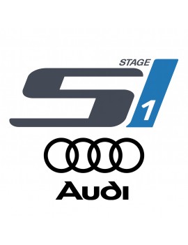 Audi Stage 1 Yazılım